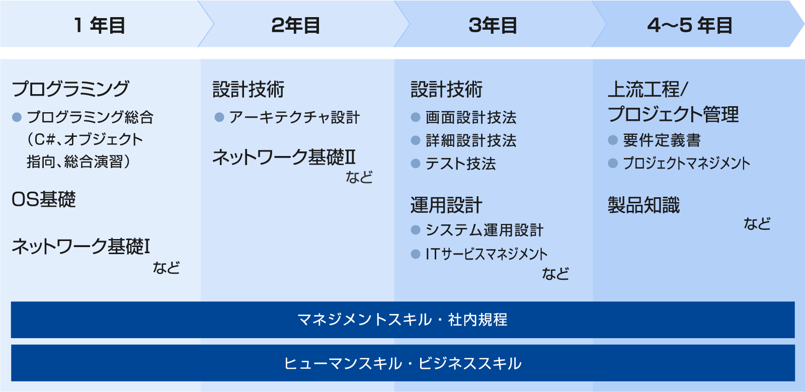 5年目までの研修内容