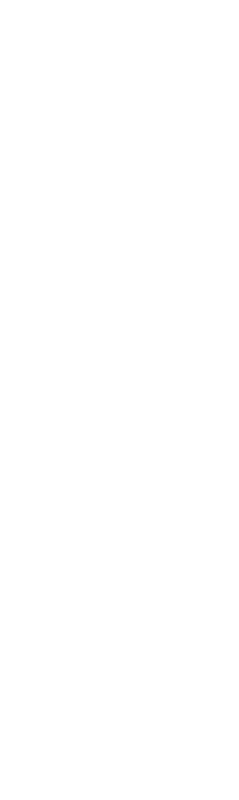 道なき道に、光を示す。